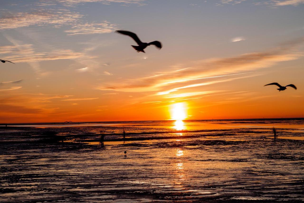 Landhaus Braband Ferienhaus Ohne Wlan - Christian-Bruett-Weg Cuxhaven Esterno foto
